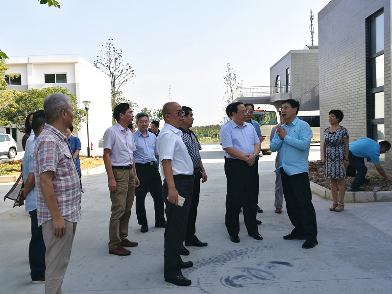 杭州市副市长王宏一行莅临LD.COM-乐动(中国)特种茶中心调研余杭区茶产业茶博园项目 杭州市副市长王宏一行莅临LD.COM-乐动(中国)特种茶中心调研余杭区茶产业茶博园项目