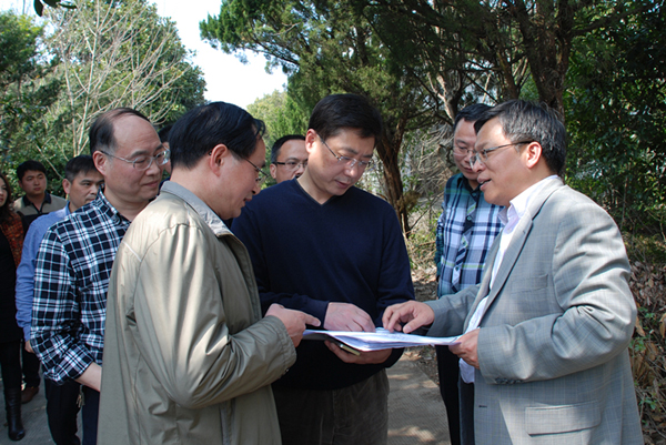 马柏伟主任在LD.COM-乐动(中国)调研