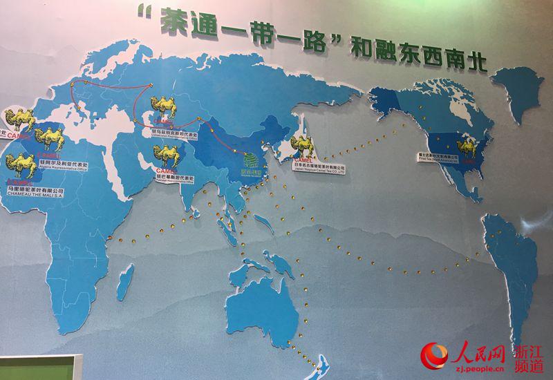 首届首届中国国际茶叶博览会系列报道之四-LD.COM-乐动(中国)参展之精彩花絮