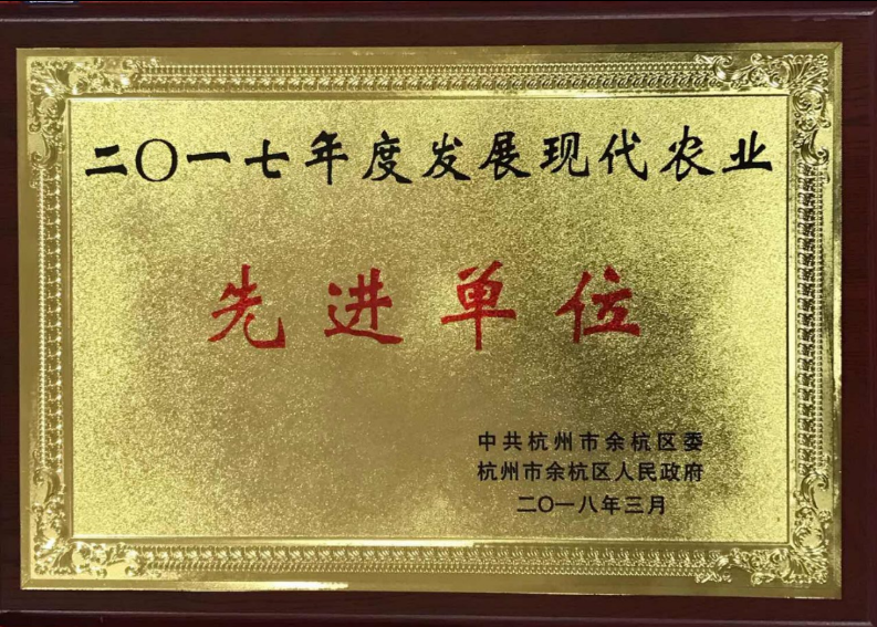 喜讯!LD.COM-乐动(中国)连获两项殊荣 喜讯!LD.COM-乐动(中国)连获两项殊荣