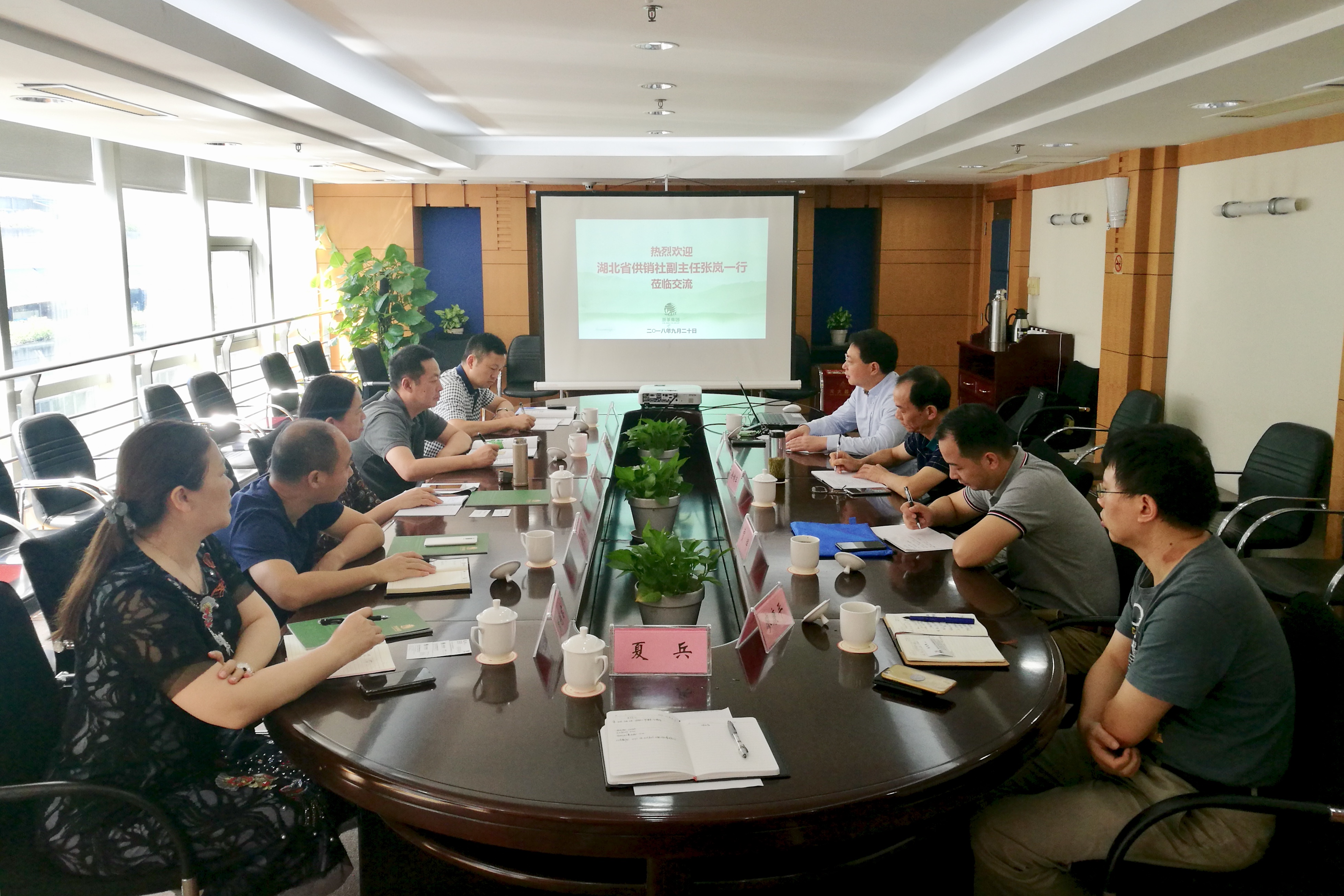 湖北省供销社张岚副主任一行莅临LD.COM-乐动(中国)考察交流