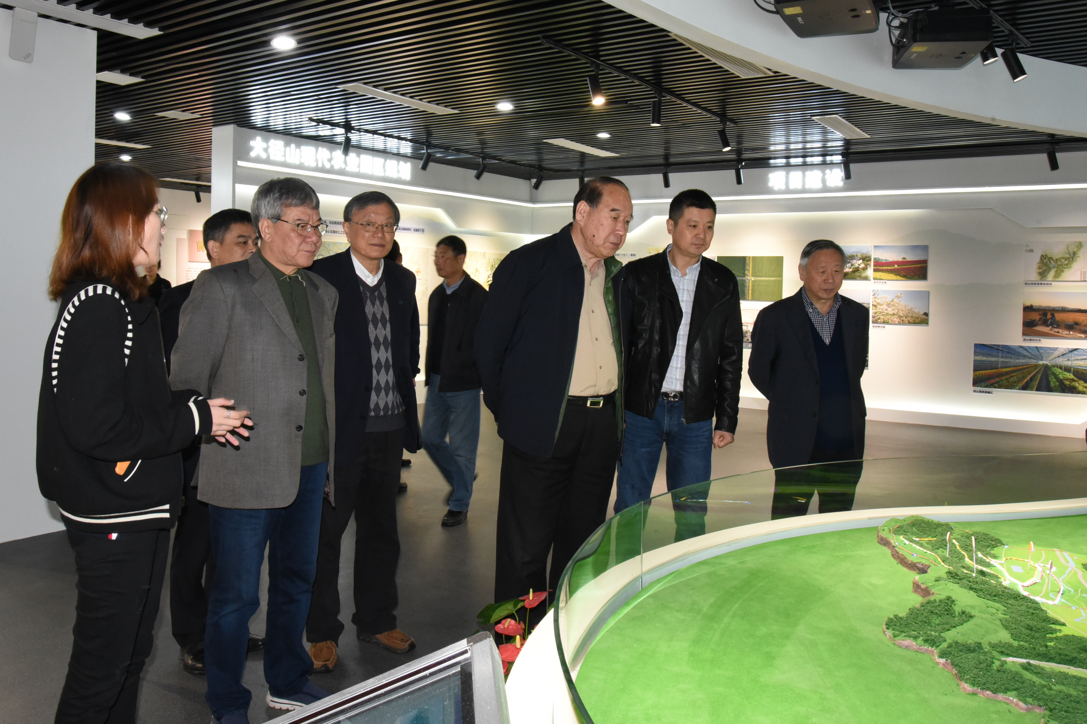 中国国际茶文化研究会周国富会长一行莅临LD.COM-乐动(中国)考察指导