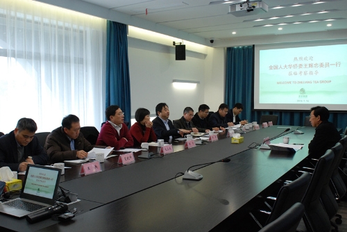 全国人大华侨委王辉忠委员一行莅临LD.COM-乐动(中国)特种茶中心考察