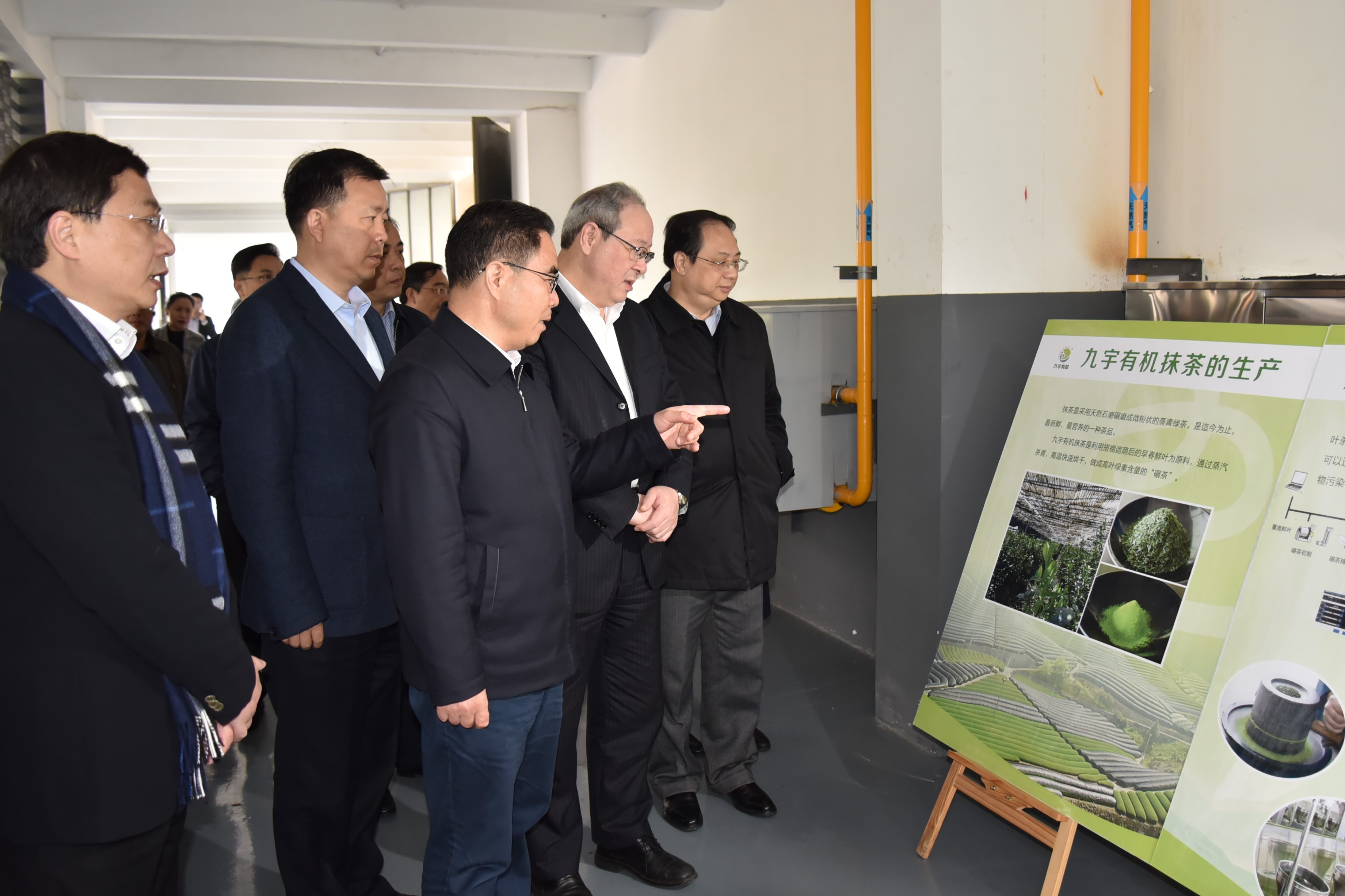 广东省委叶贞琴一行莅临LD.COM-乐动(中国)茶产业博览园考察