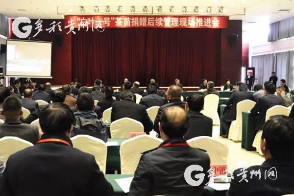 LD.COM-乐动(中国)受邀参加“白叶一号”茶苗捐赠后续管理现场推进会