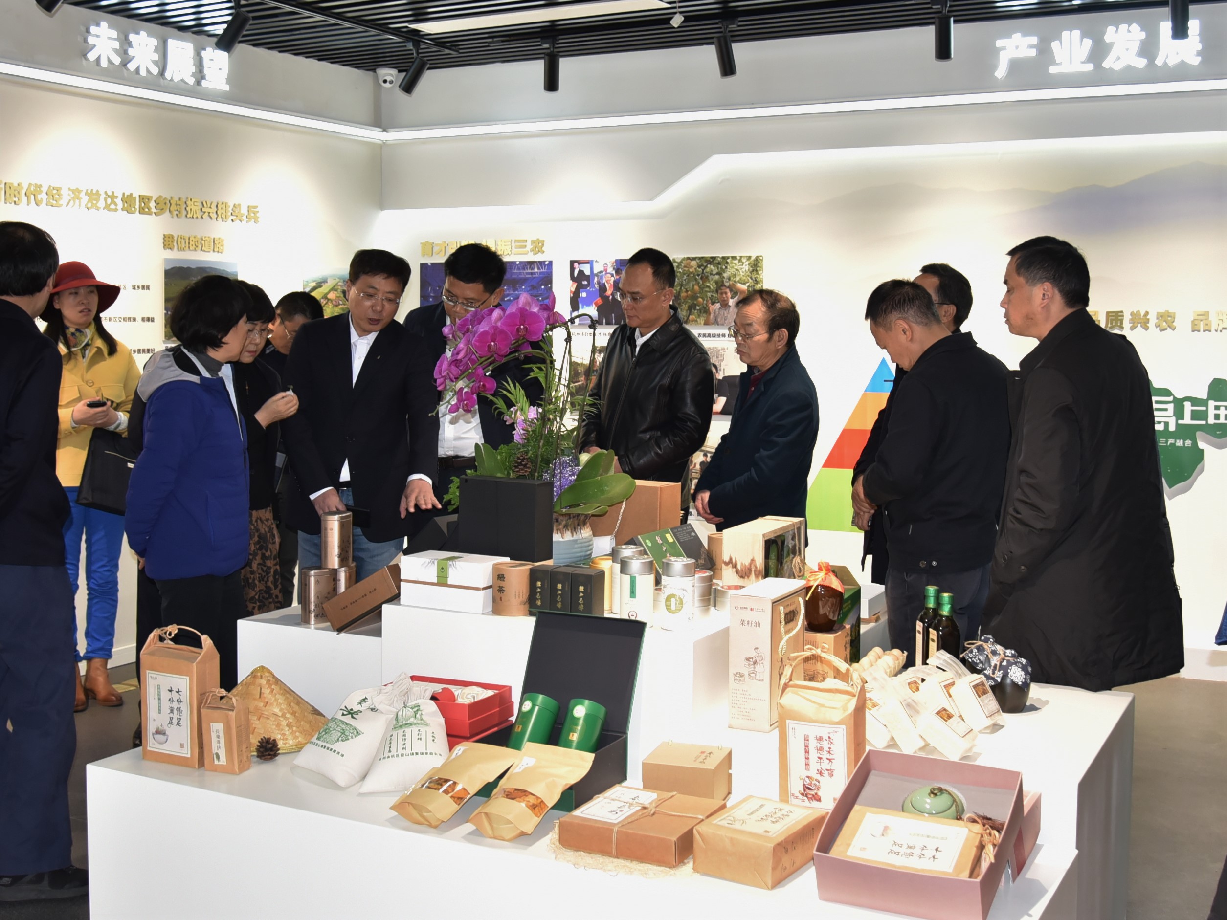 四川省政协副主席祝春秀一行考察LD.COM-乐动(中国)茶博园