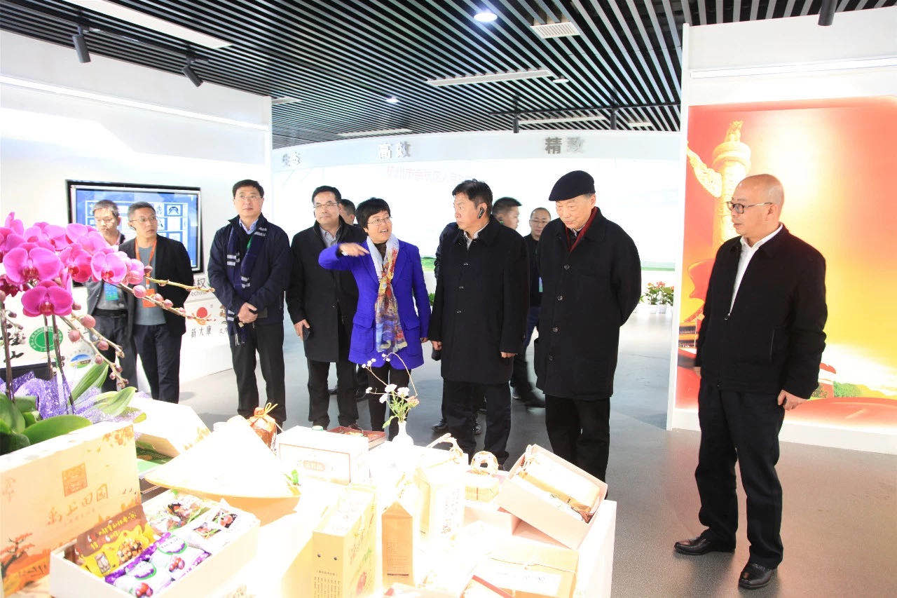 2019中国乡村振兴暨首届“一带一路”农业农村发展论坛嘉宾参观LD.COM-乐动(中国)九宇有机茶博园