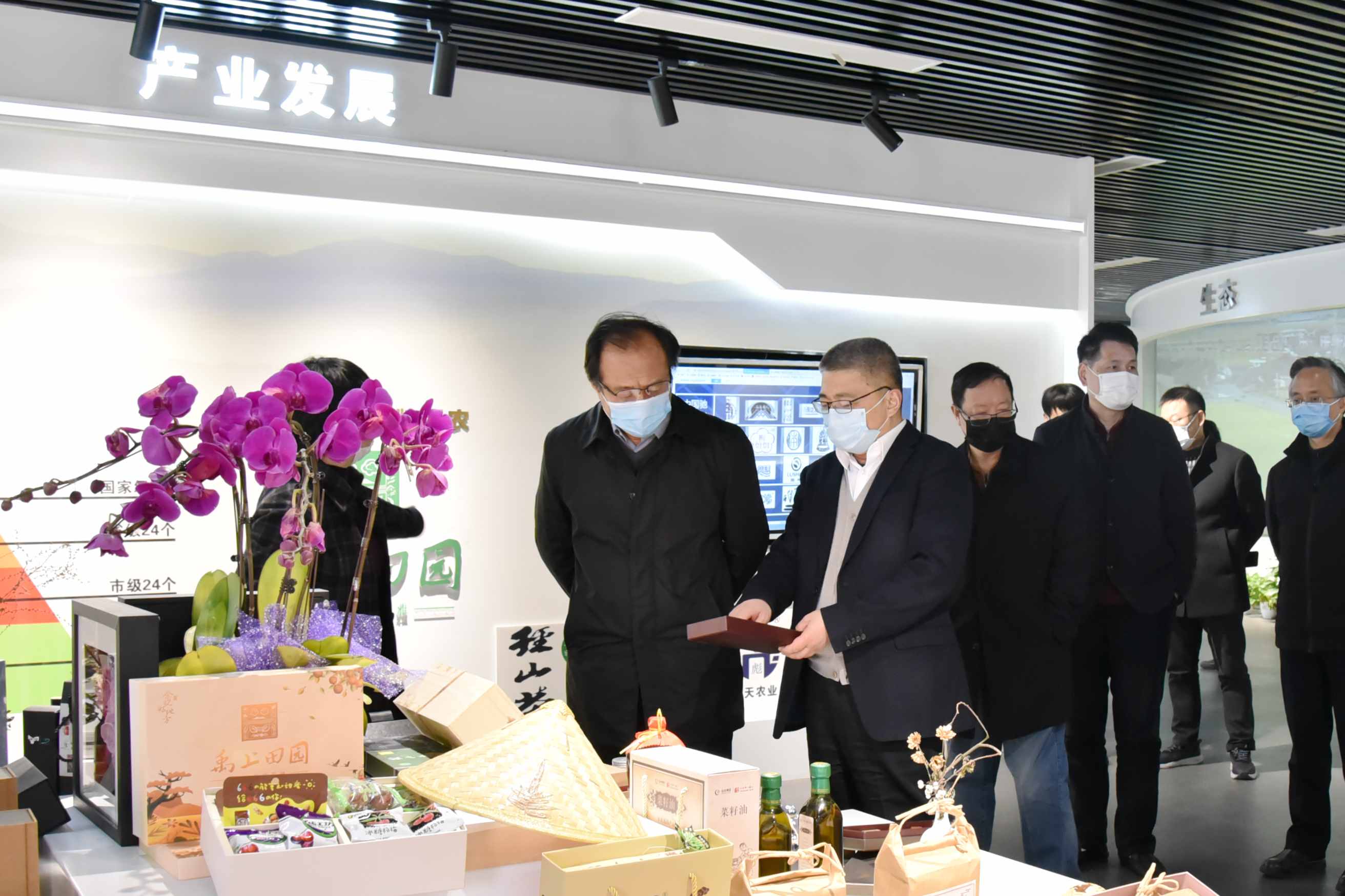 杭州市政协党组副书记、副主席翁卫军一行调研LD.COM-乐动(中国)特种茶中心