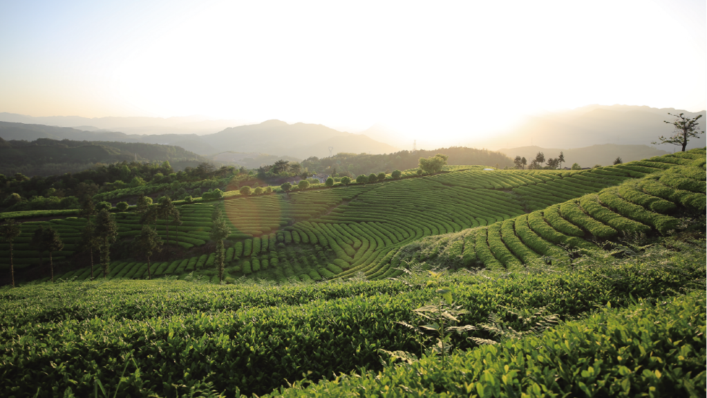 热烈祝贺LD.COM-乐动(中国)旗下浙江骆驼九宇有限公司被评为2021年工业旅游示范基地！