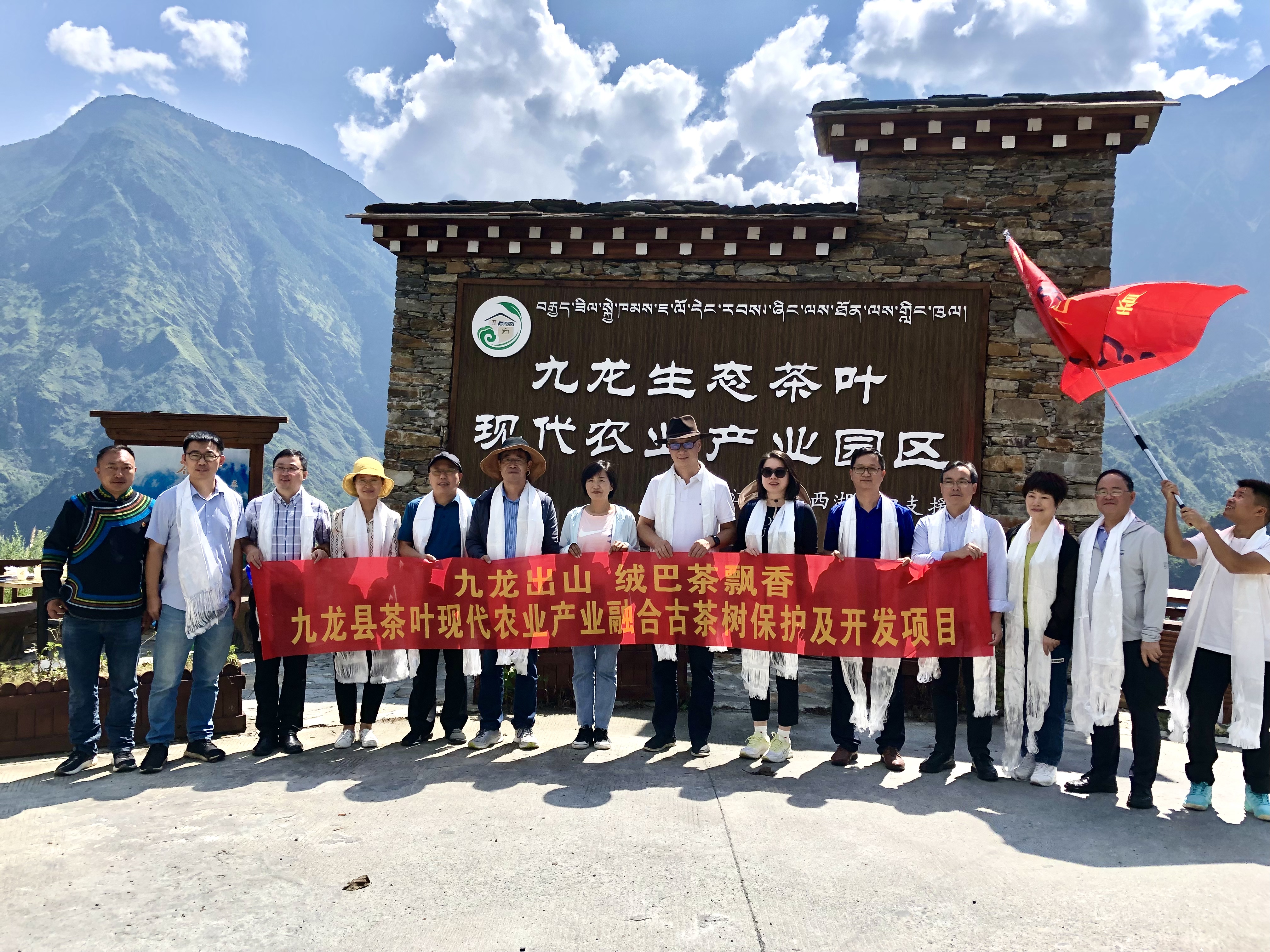 九龙出山·绒巴茶飘香——LD.COM-乐动(中国)牵头实施九龙县茶叶现代农业产业融合示范项目古茶树保护及开发项目 九龙出山·绒巴茶飘香——LD.COM-乐动(中国)牵头实施九龙县茶叶现代农业产业融合示范项目古茶树保护及开发项目