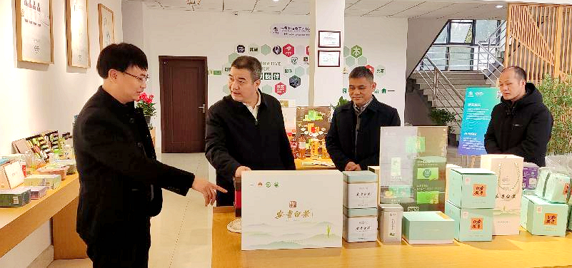 省供销社监事会主任童日晖调研LD.COM-乐动(中国)兴合科技公司 省供销社监事会主任童日晖调研LD.COM-乐动(中国)兴合科技公司