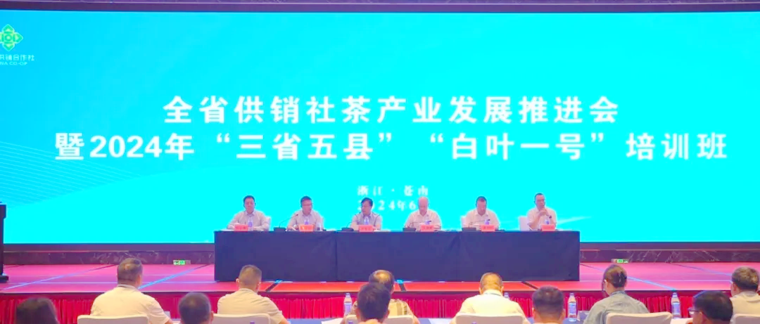 全省供销社茶产业发展推进会暨2024年“三省五县”“白叶一号”培训班顺利举办 全省供销社茶产业发展推进会暨2024年“三省五县”“白叶一号”培训班顺利举办